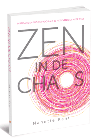 cover van het boek Zen in de chaos van Nanette Kant