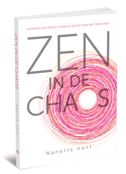 cover van het boek Zen in de chaos van Nanette Kant